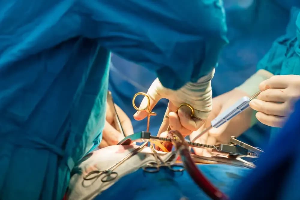 professor-of-kidney-specialist.webp
