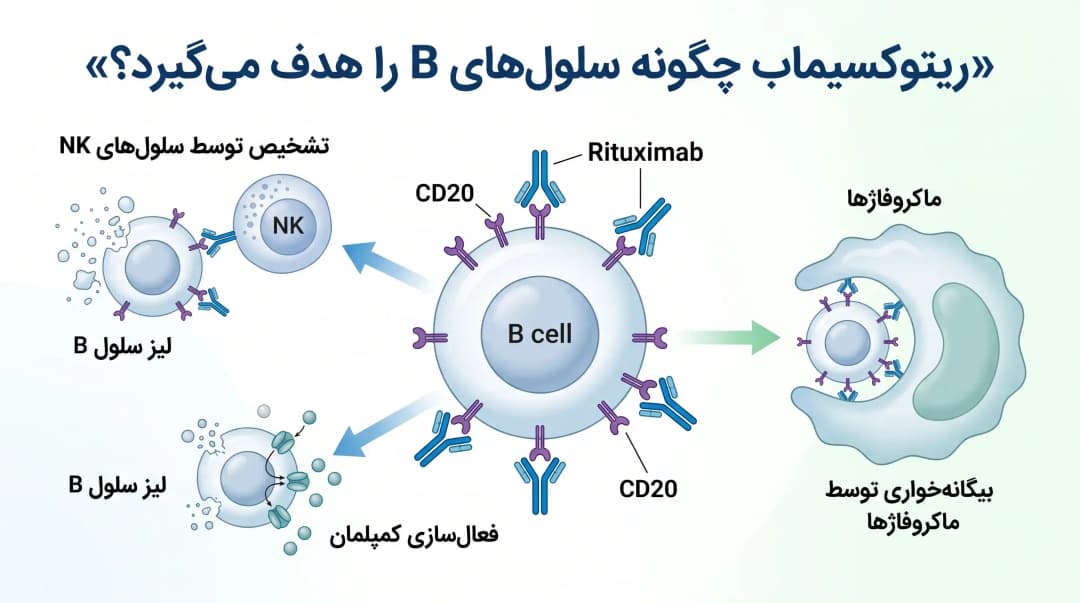 ریتوکسیماب
