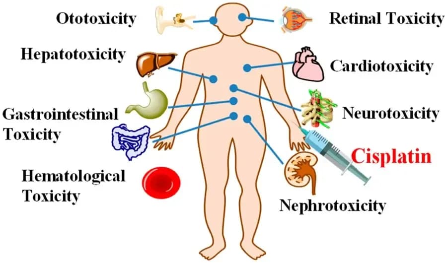 side-effects-of-cisplatin.webp