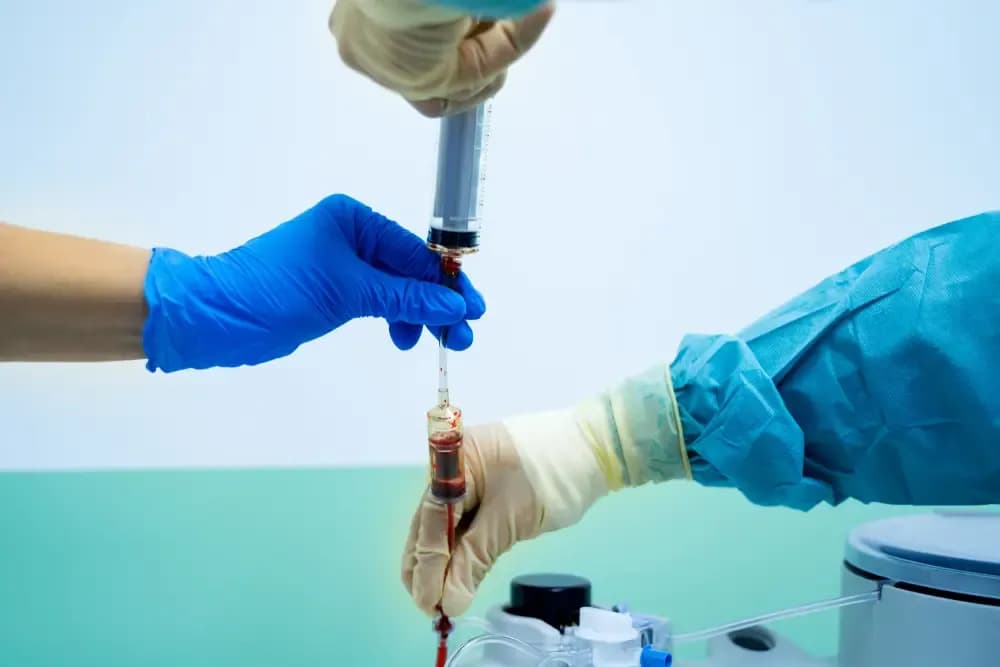 stem-cell-transplantation-for-the-treatment-of-leukemia.webp