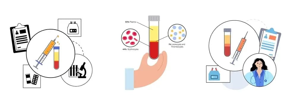 stem-cells-in-the-treatment-of-leukemia.1.webp
