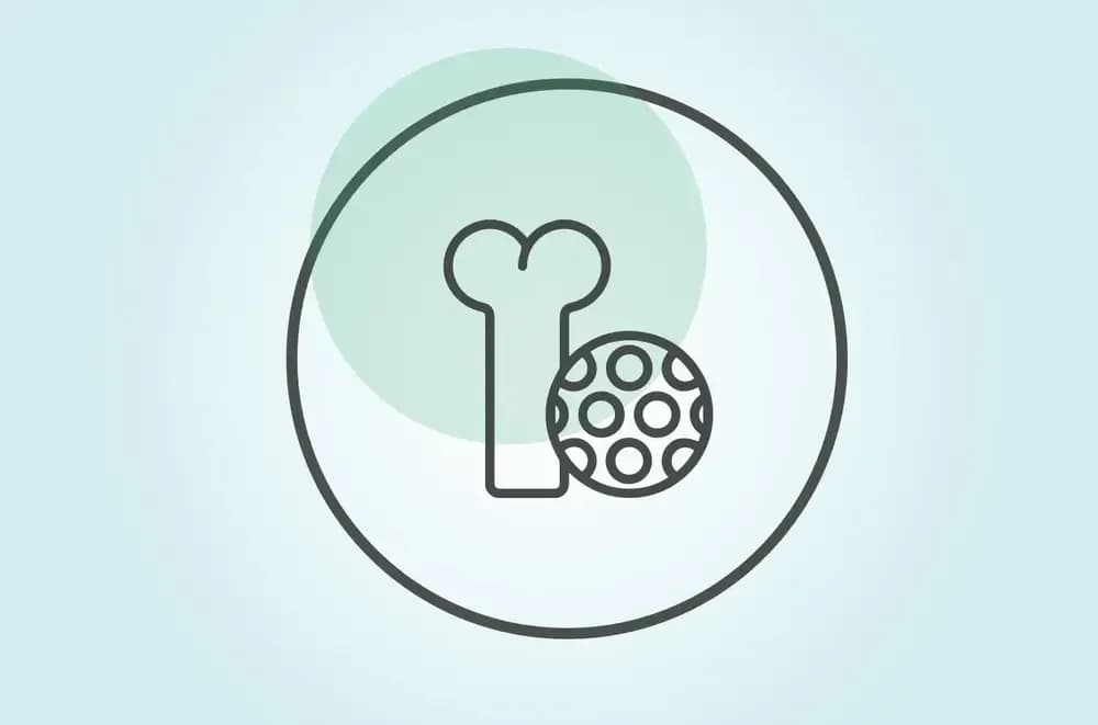 stem-cells-in-the-treatment-of-leukemia.webp