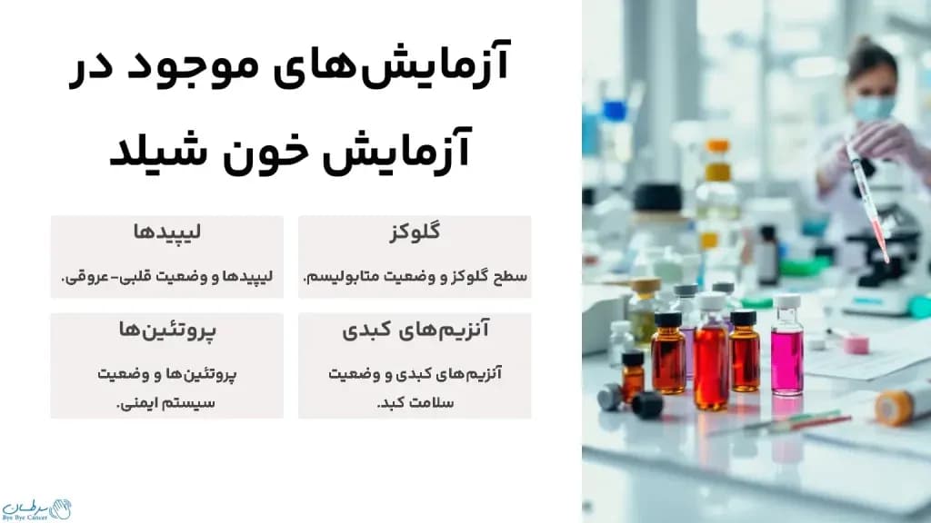 tests-available-in-the-Shield-blood-test-1024x576.webp