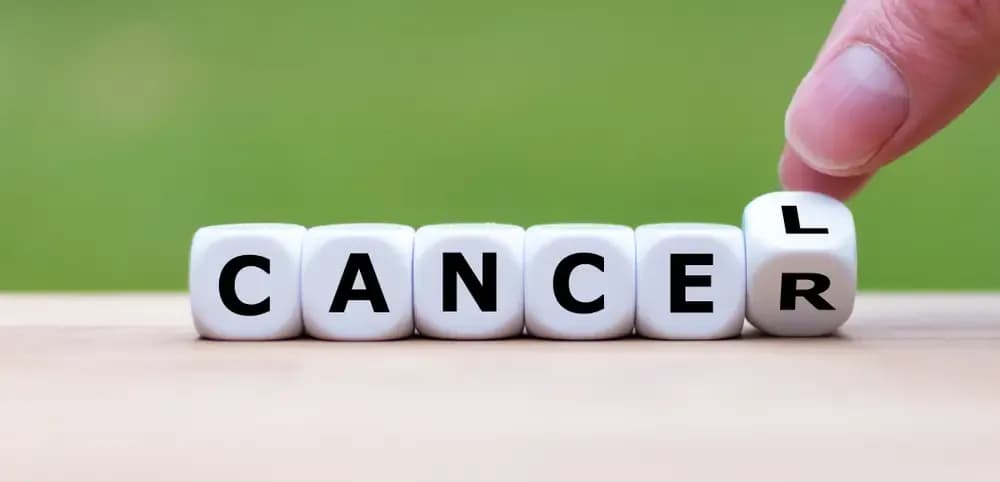 the-language-of-cancer.webp