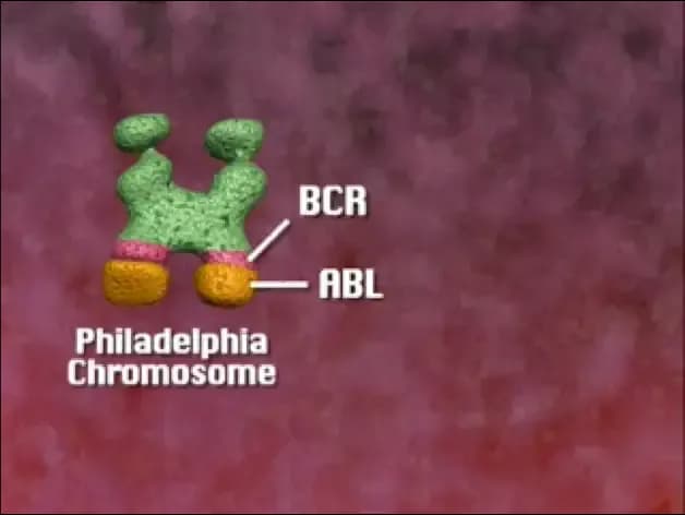 the-philadelphia-chromosome.1.webp