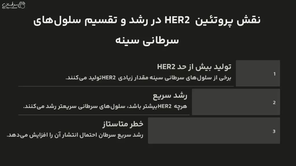 the-role-of-the-HER2-protein-1024x576.webp