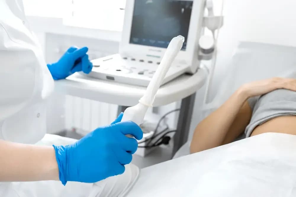 vaginal-or-abdominal-ultrasound.webp