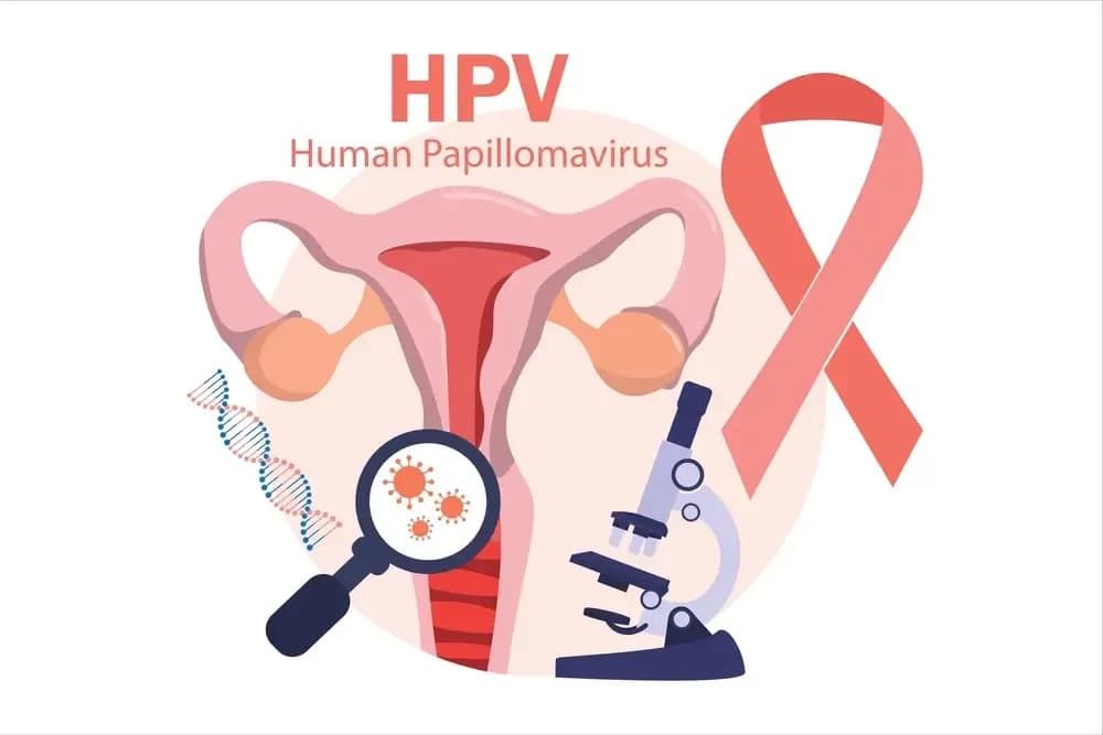 virus-and-cancer.webp