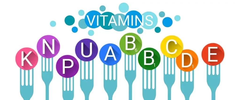vitamins-and-cancer.1.webp