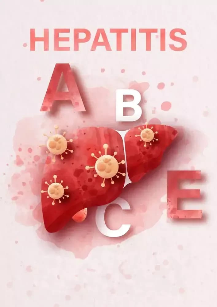 what-is-hepatitis.1.webp