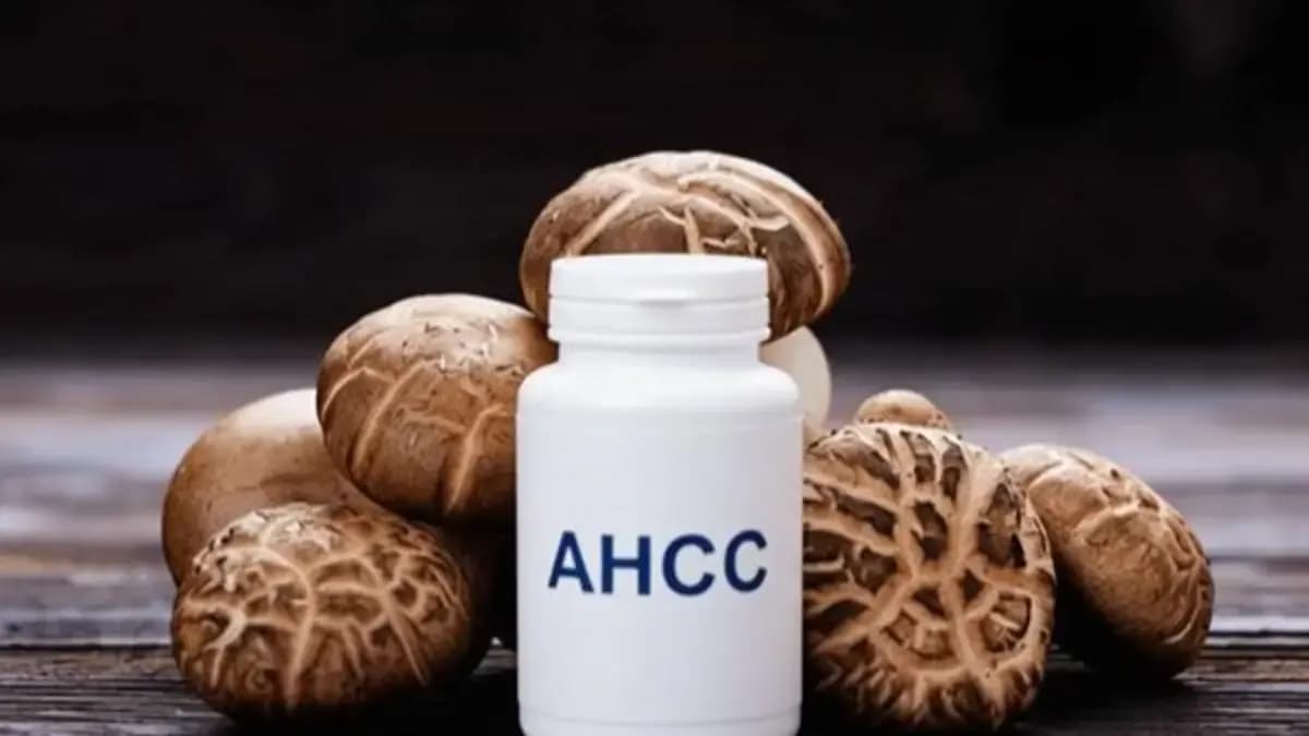 بررسی قرص ahcc مکمل تقویت سیستم ایمنی بدن