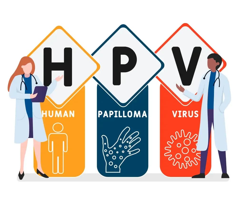 HPV-virus.webp