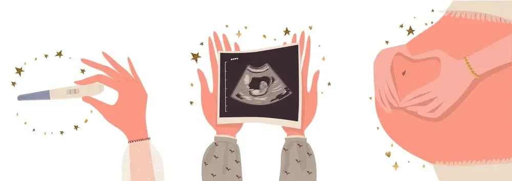 cancer-and-pregnancy.webp