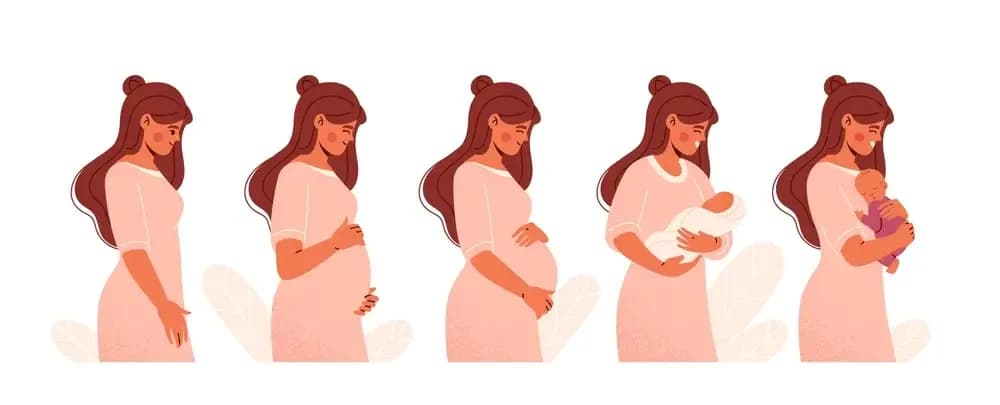 cancer-from-mother-to-fetus.webp