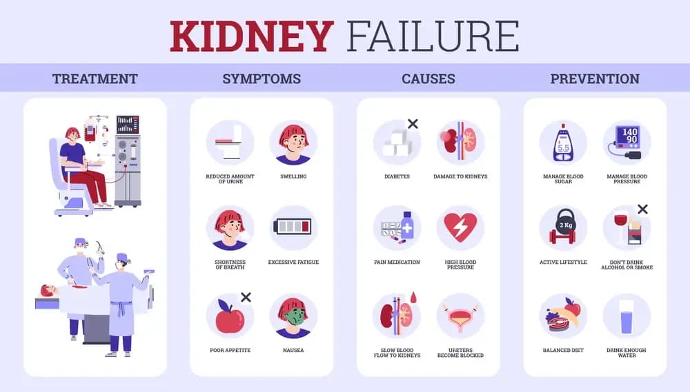 cancers-associated-with-kidney-failure.1.webp