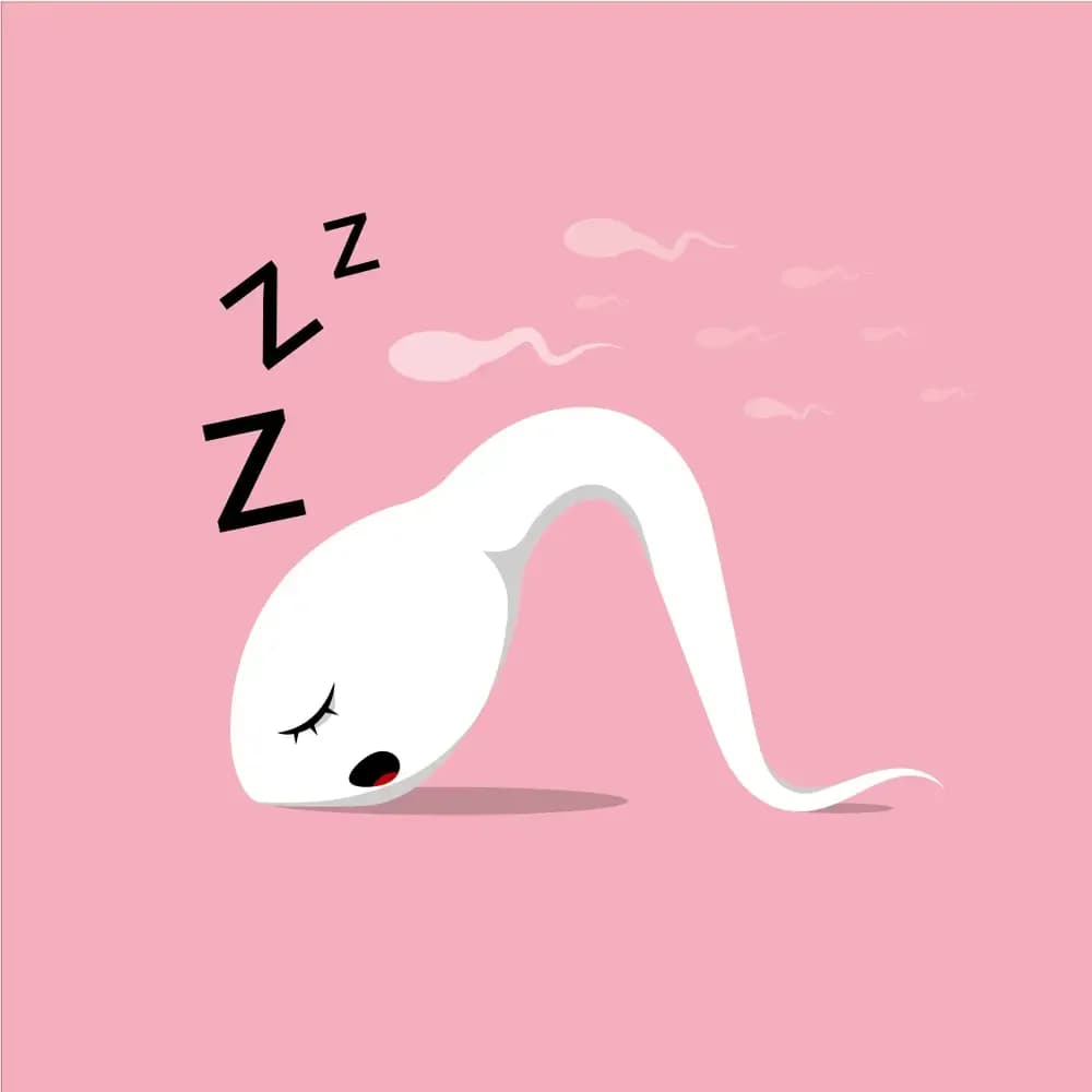 decreased-sperm-count-due-to-cancer.2.webp