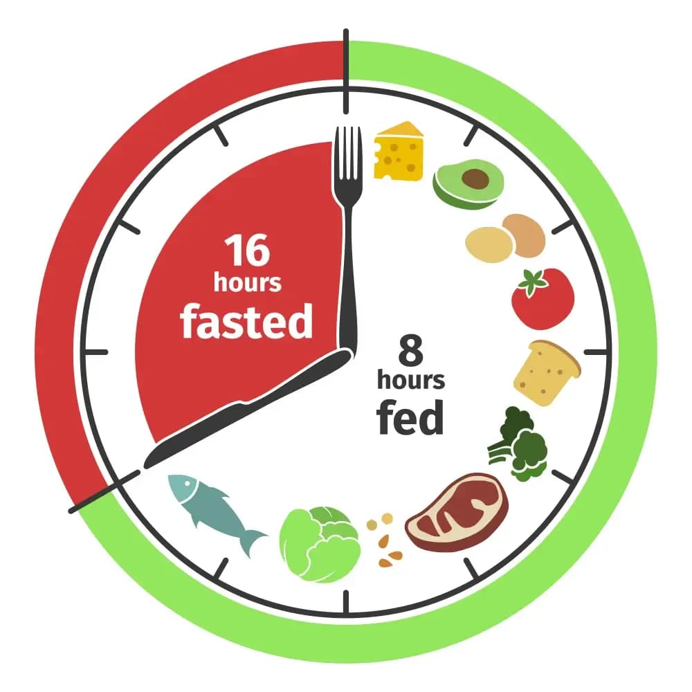 fasting-diet-and-cancer.1.webp