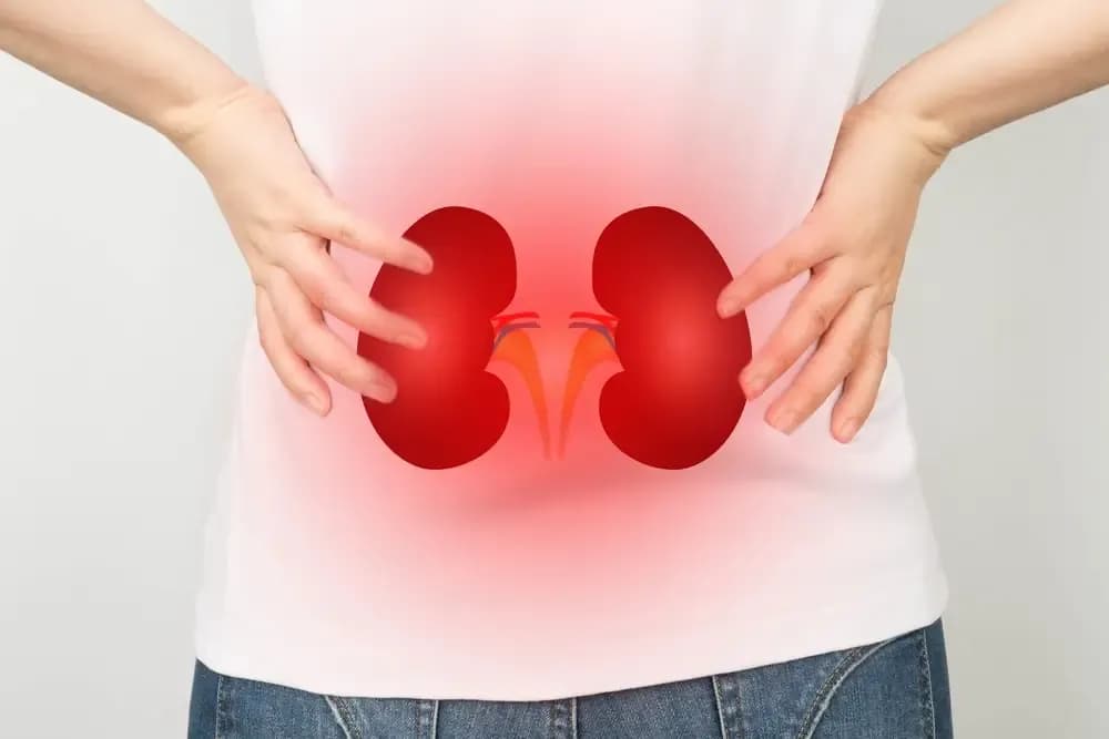 kidney-failure-and-cancer.1.webp