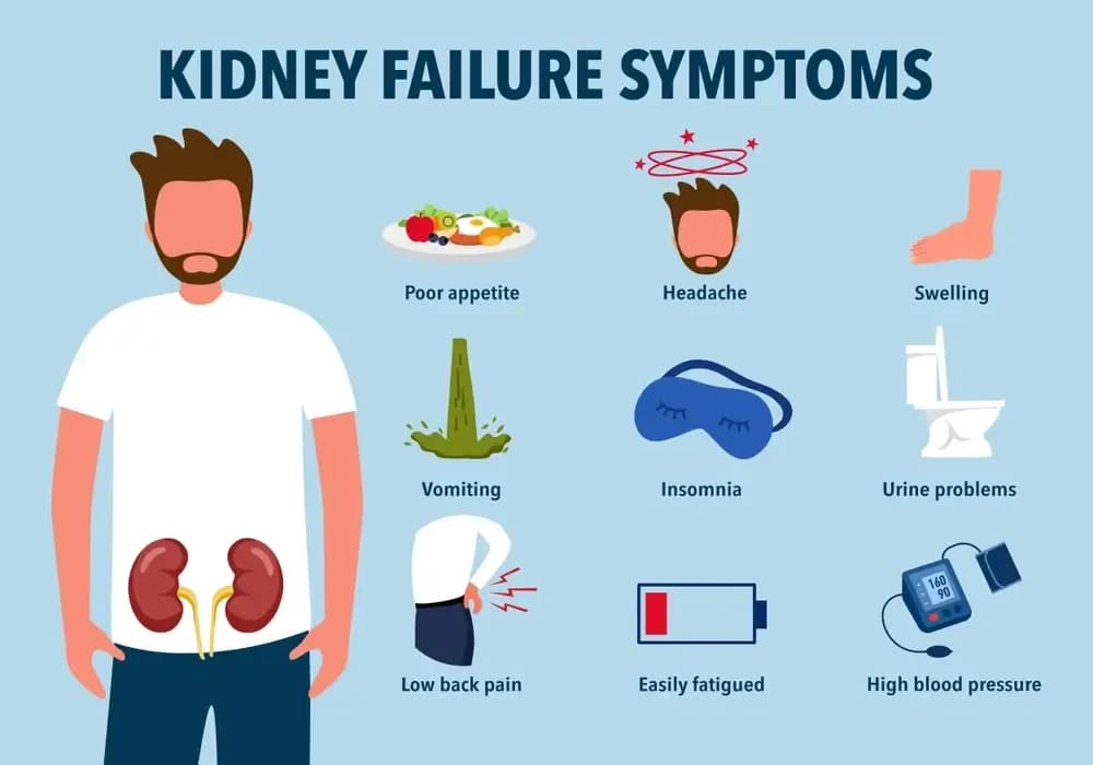 kidney-failure.webp