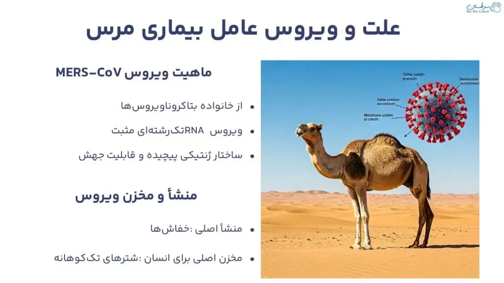mers.1-1024x576.webp