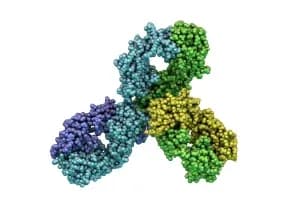 pembrolizumab-300x200.webp