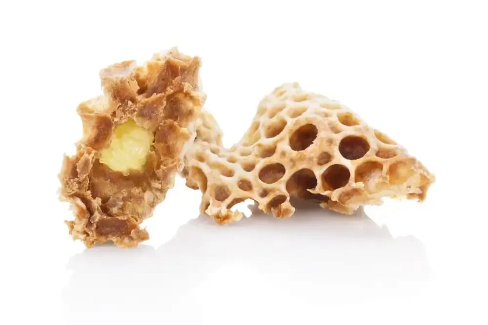 royal-jelly-in-the-fight-against-cancer.webp