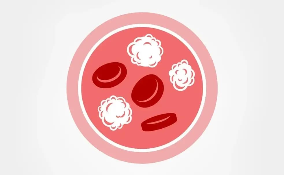 treatment-of-CML.webp