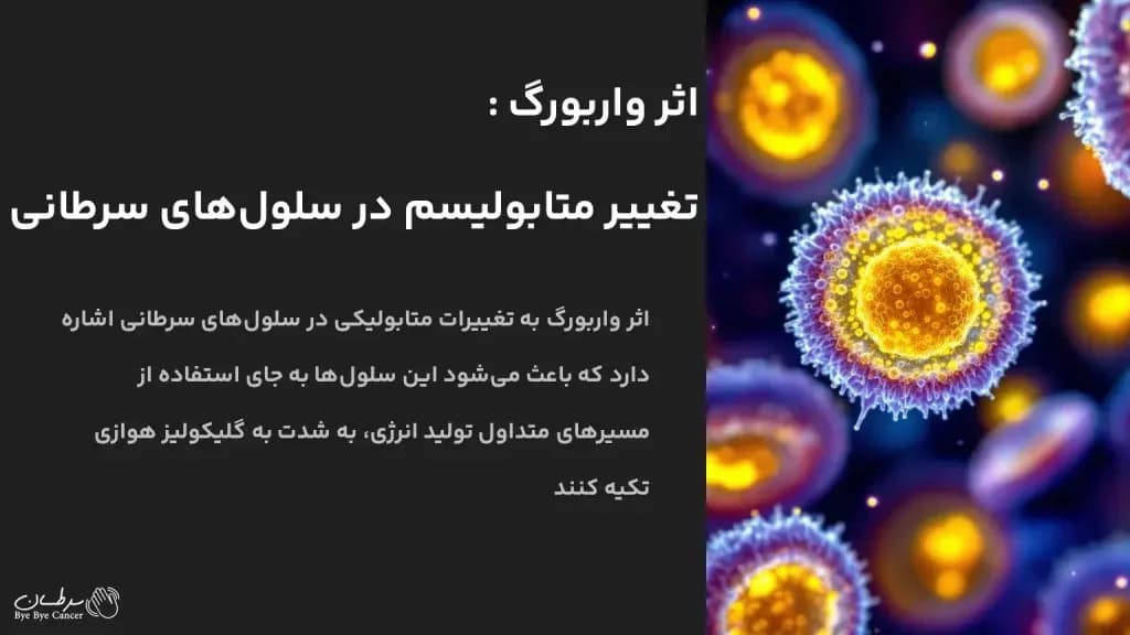 warburg-effect.1-1024x576.webp