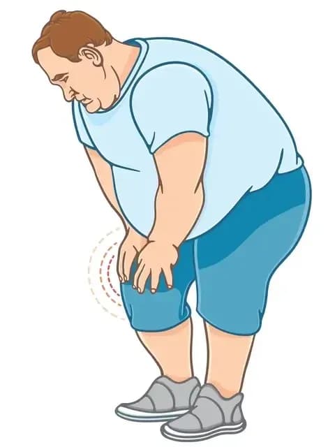 weight-gain-1-edited.webp