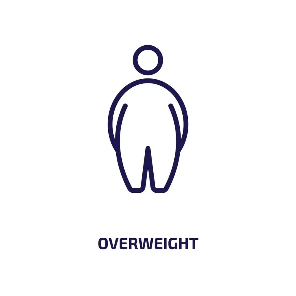 weight-gain.1.webp