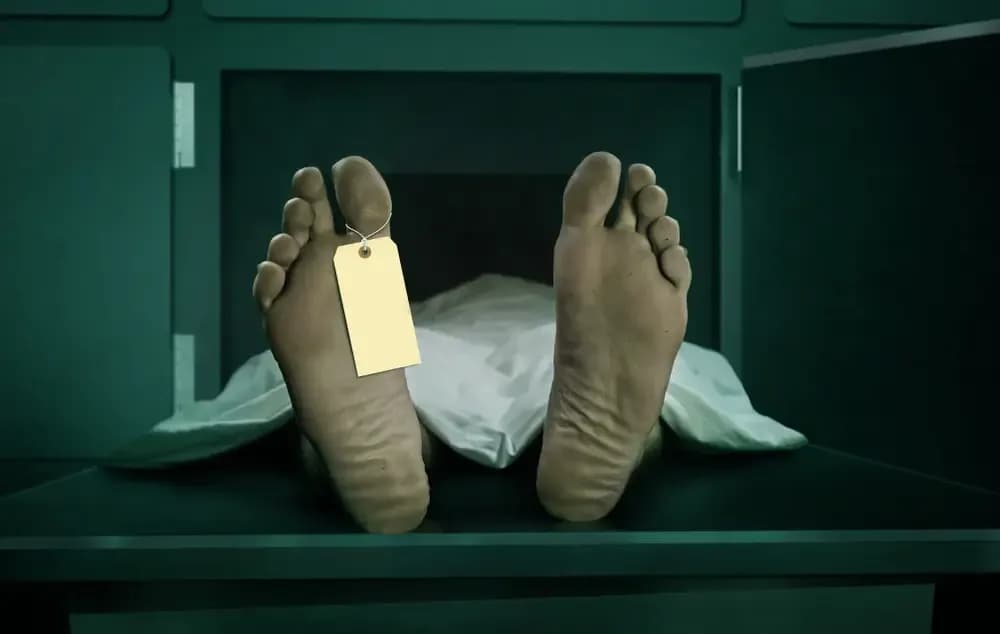 which-cancers-take-the-most-lives.1.webp