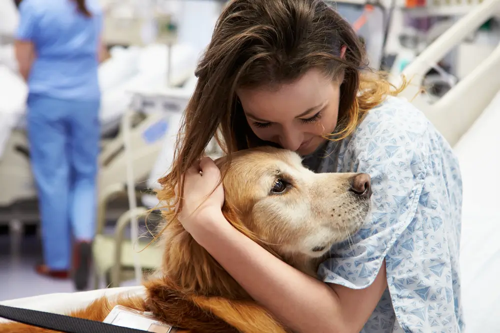 سگ برای بیماران سرطانی