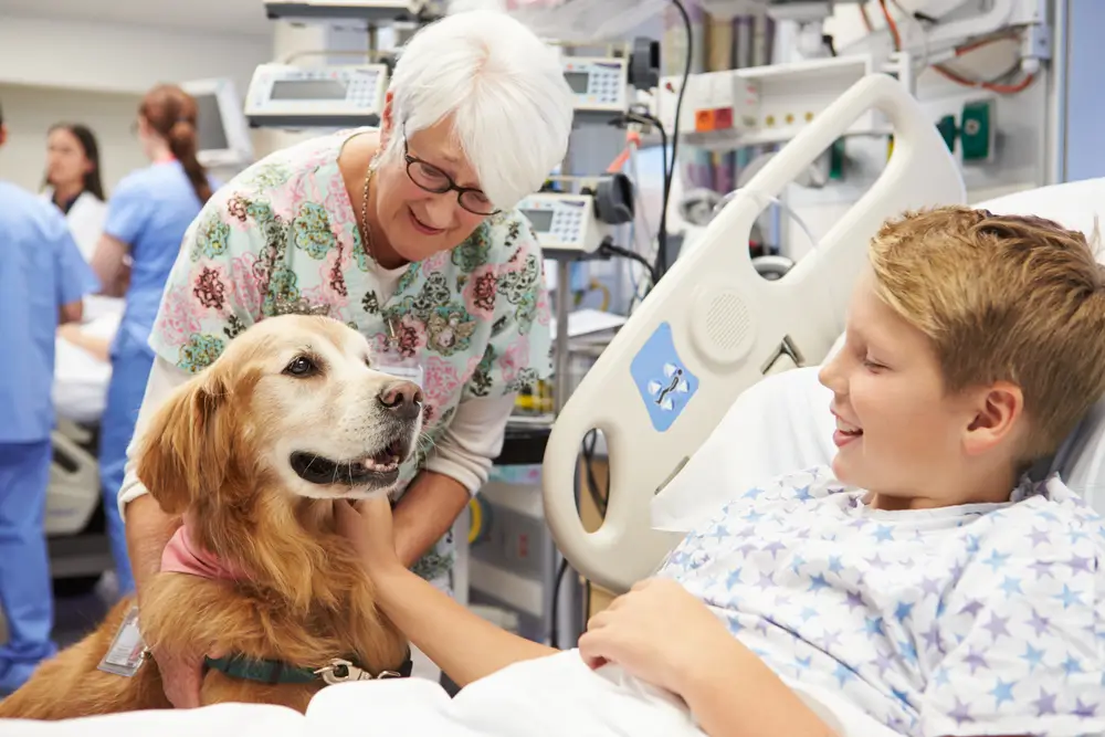 سگ‌ها در درمان سرطان