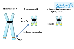 کروموزوم فیلادلفیا