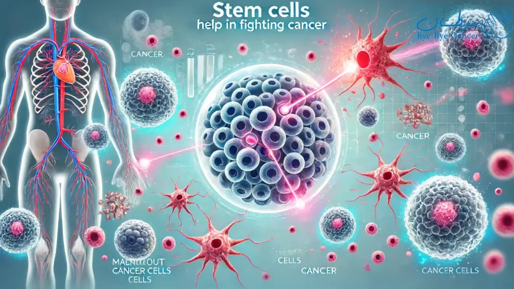 کاربرد سلول‌های بنیادی در درمان سرطان
