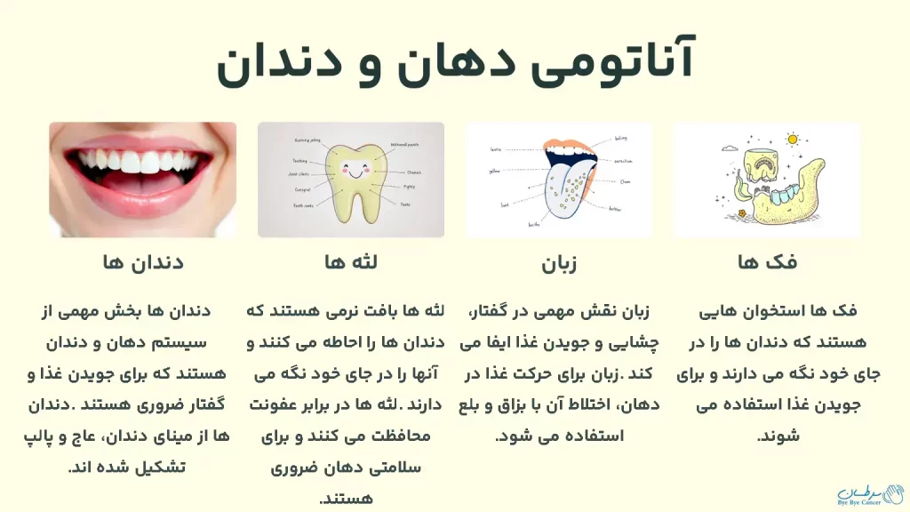 سرطان و سلامت دهان و دندان