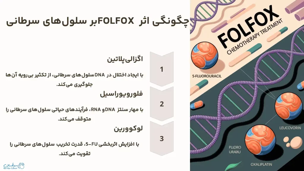 چگونگی اثر FOLFOX بر سلول‌های سرطانی