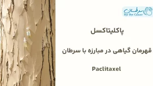 پاکلیتاکسل