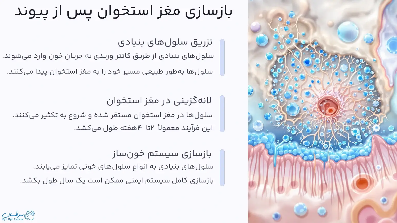 پیوند اتولوگ