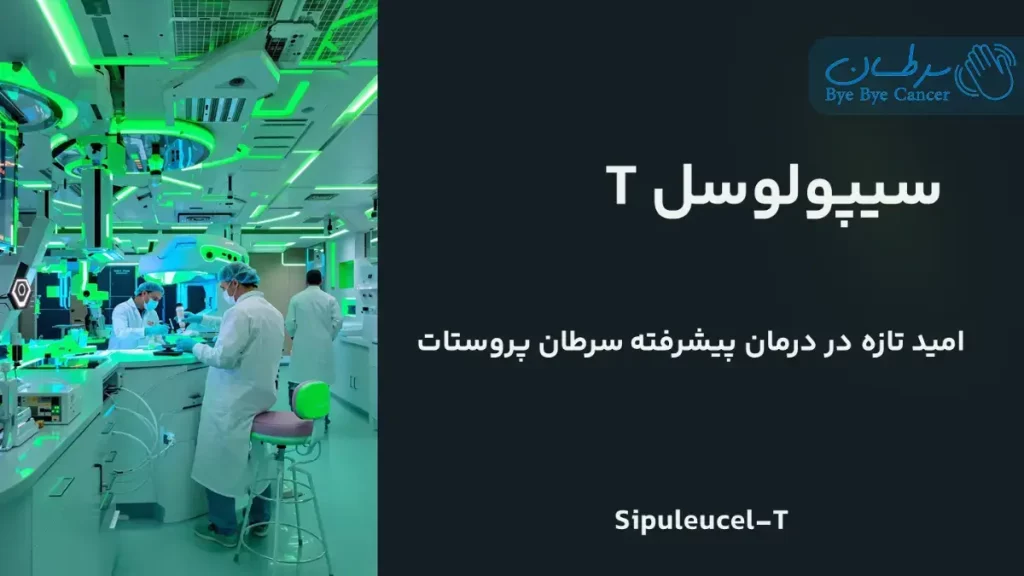سیپولوسل
