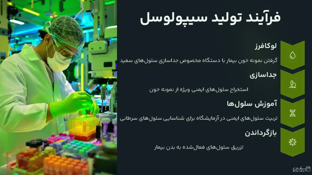 فرآیند تولید سیپولوسل
