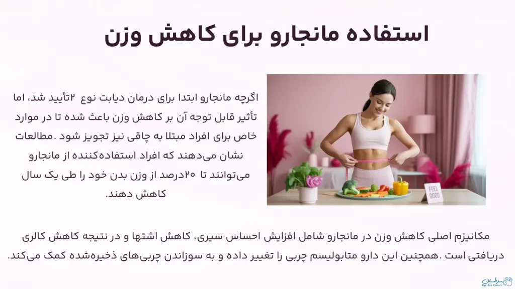استفاده از مانجارو برای کاهش وزن