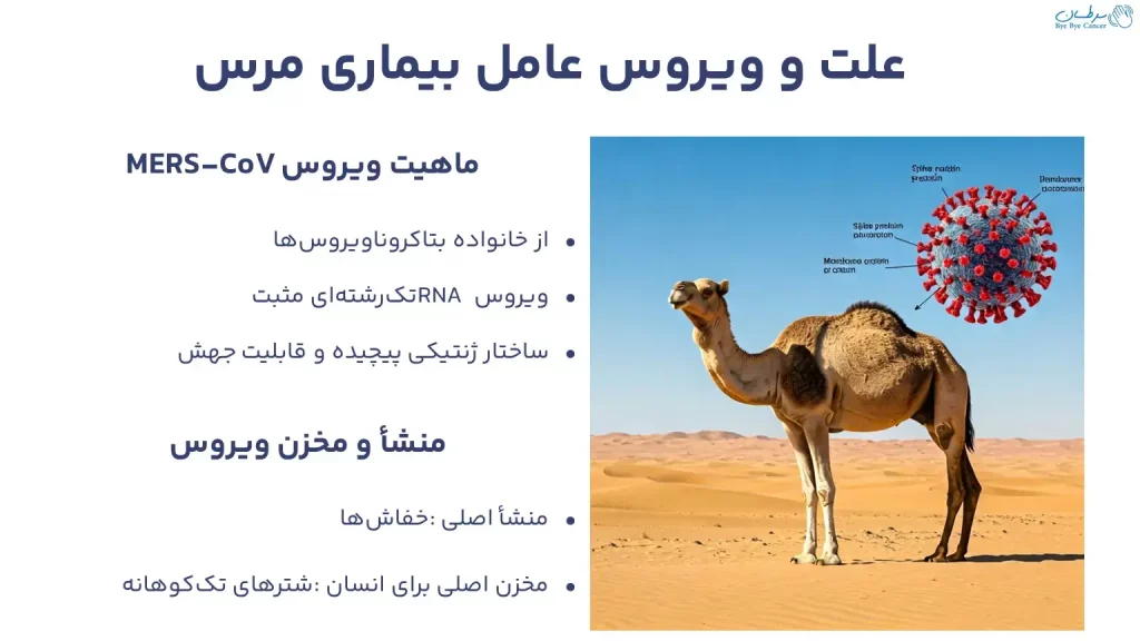 علت و ویروس عامل بیماری مرس